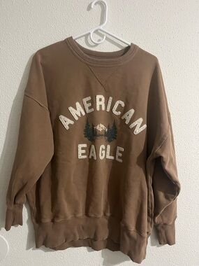 American Eagle Outfitters oversized Brown Graphic Crewneck Sweatshirt